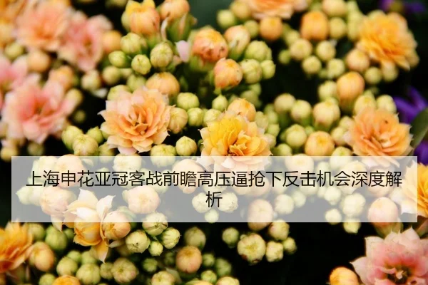 上海申花亚冠客战前瞻高压逼抢下反击机会深度解析