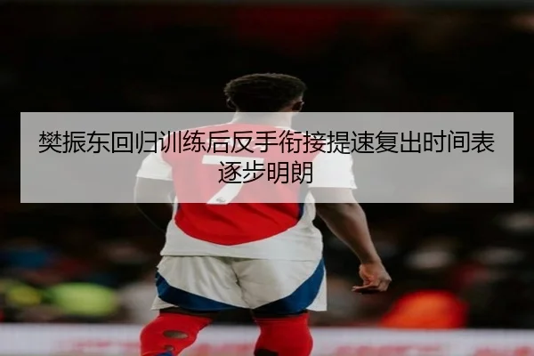 樊振东回归训练后反手衔接提速复出时间表逐步明朗